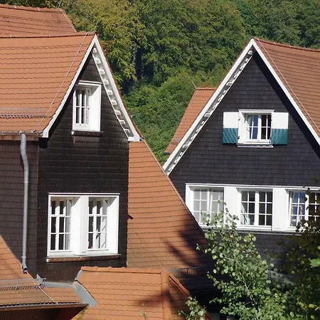 Waldblick