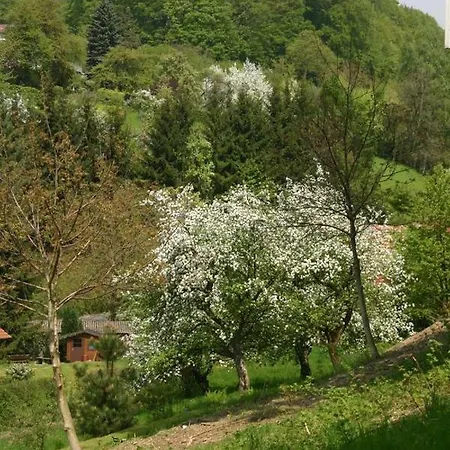 Waldblick * Ober-Hambach