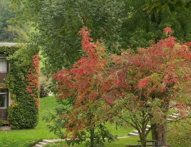 Waldblick Ober-Hambach