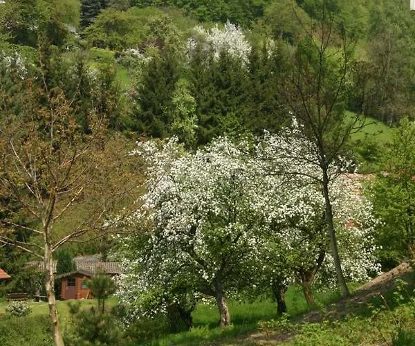 Waldblick * Ober-Hambach